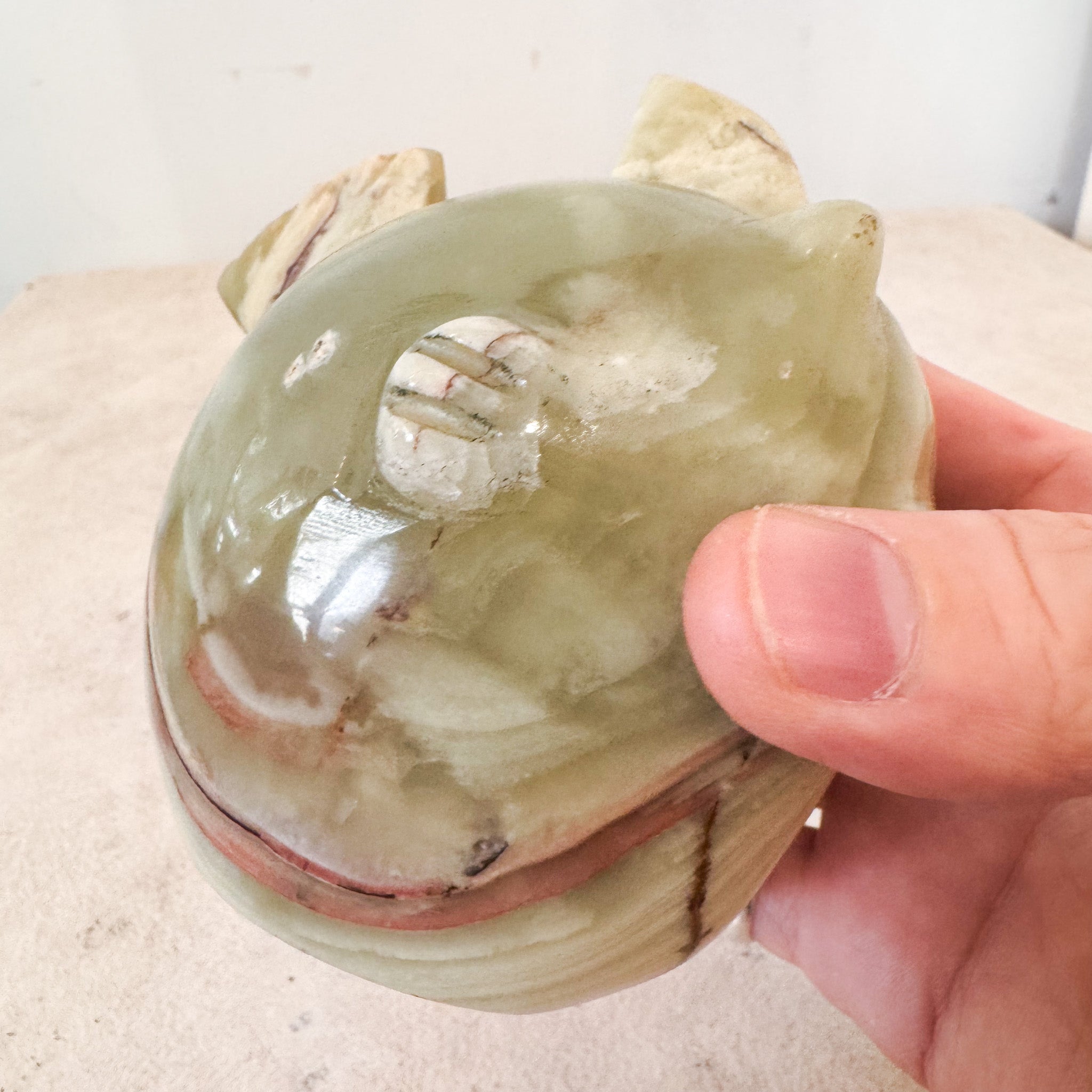 Stone Fish / 石の魚