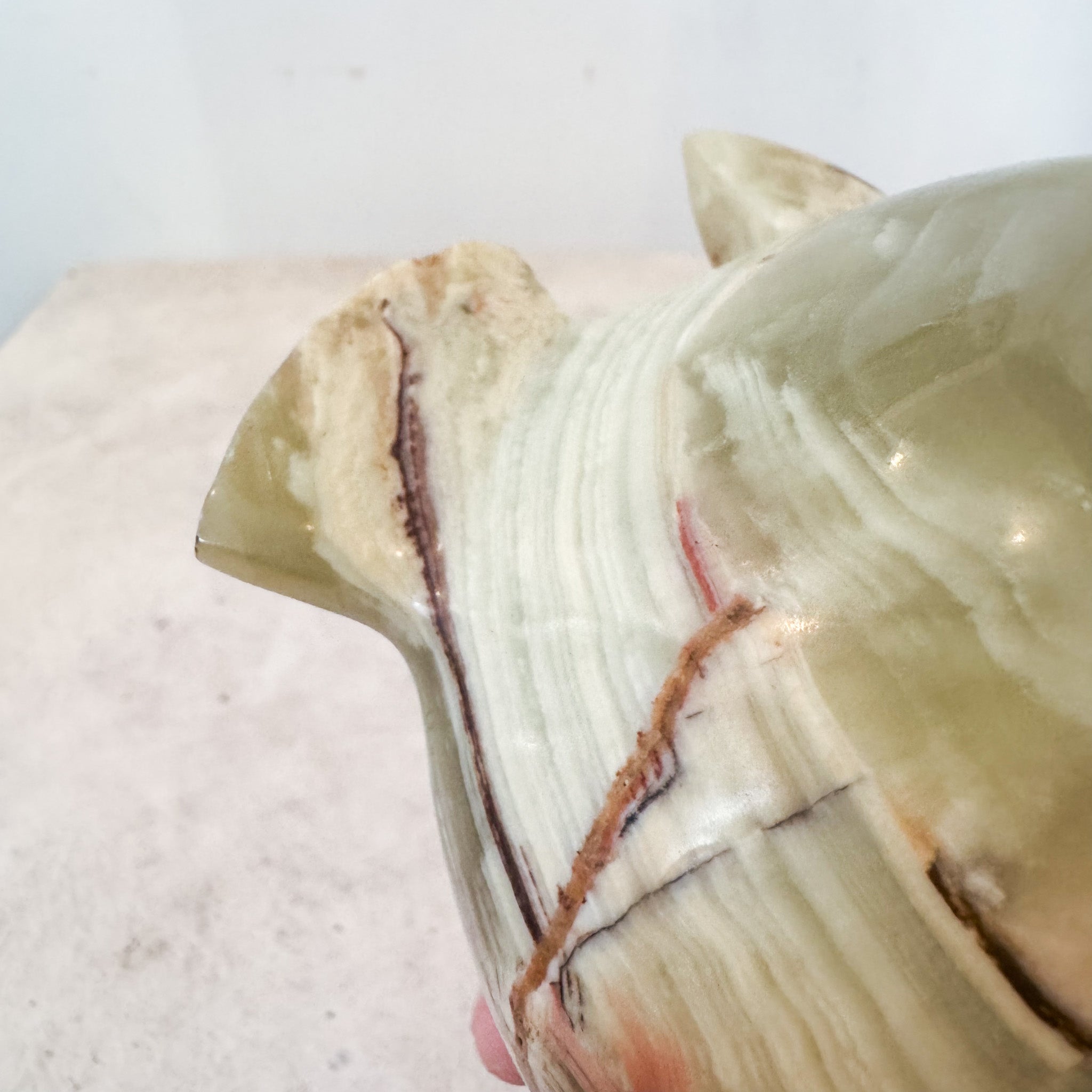 Stone Fish / 石の魚