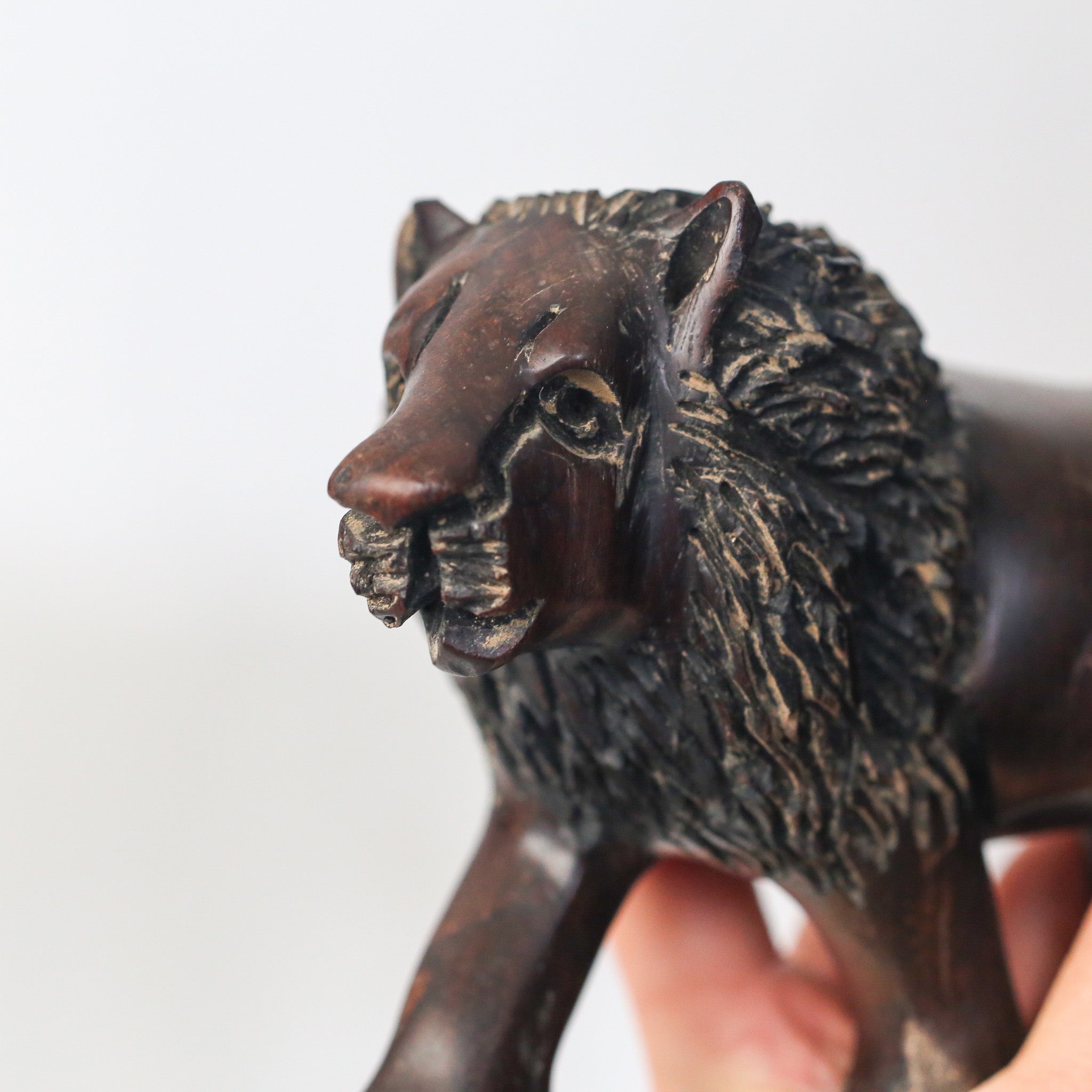 Wooden Lion / 木製のライオン