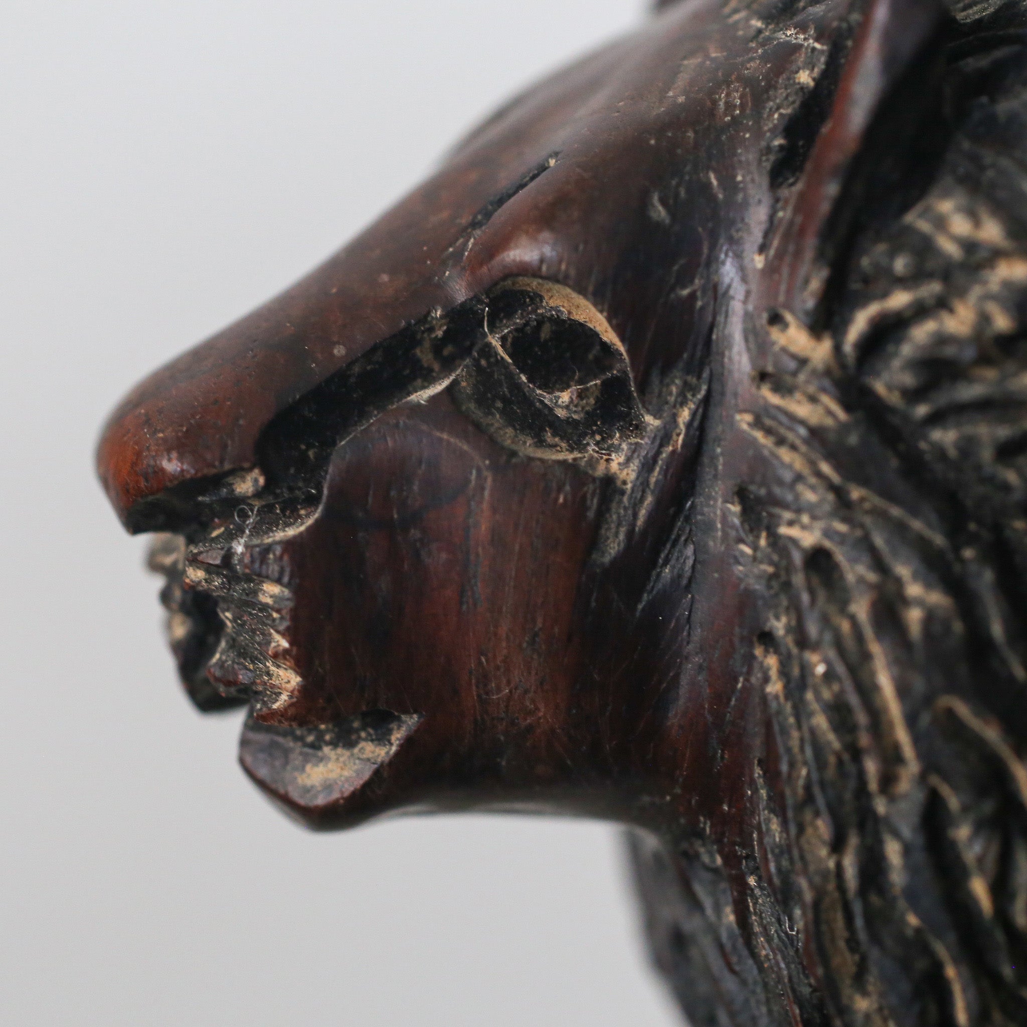 Wooden Lion / 木製のライオン