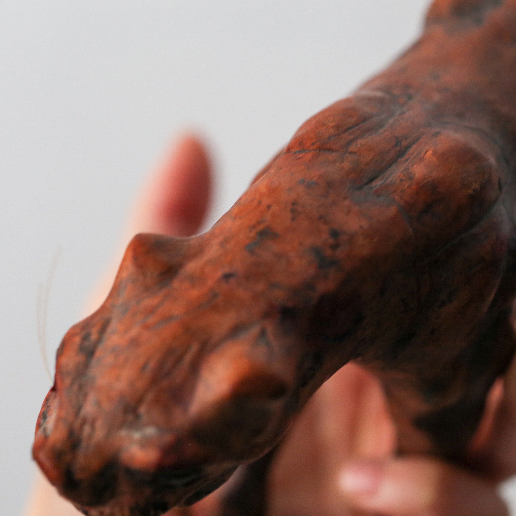 Clay Beast / 粘土の獣