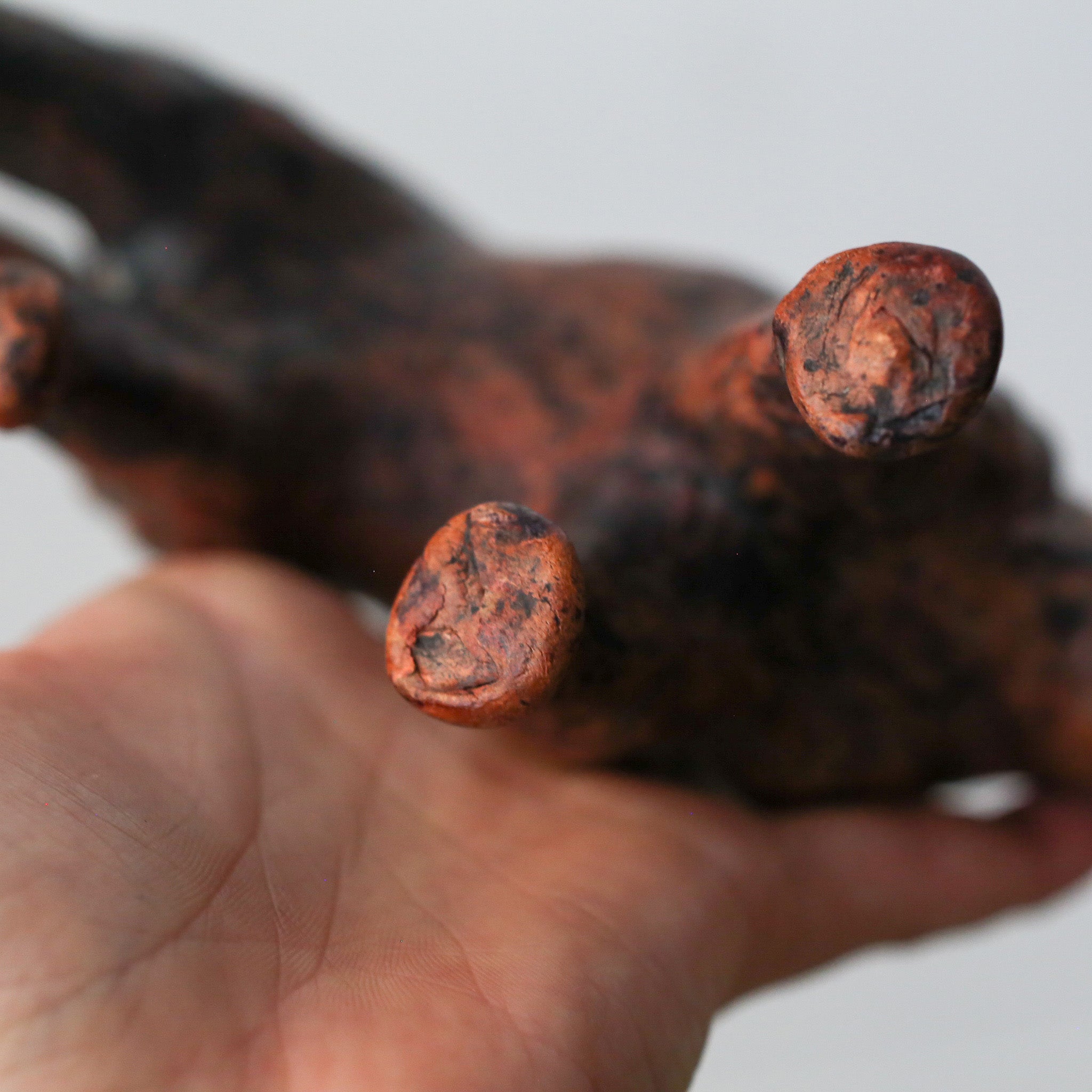 Clay Beast / 粘土の獣