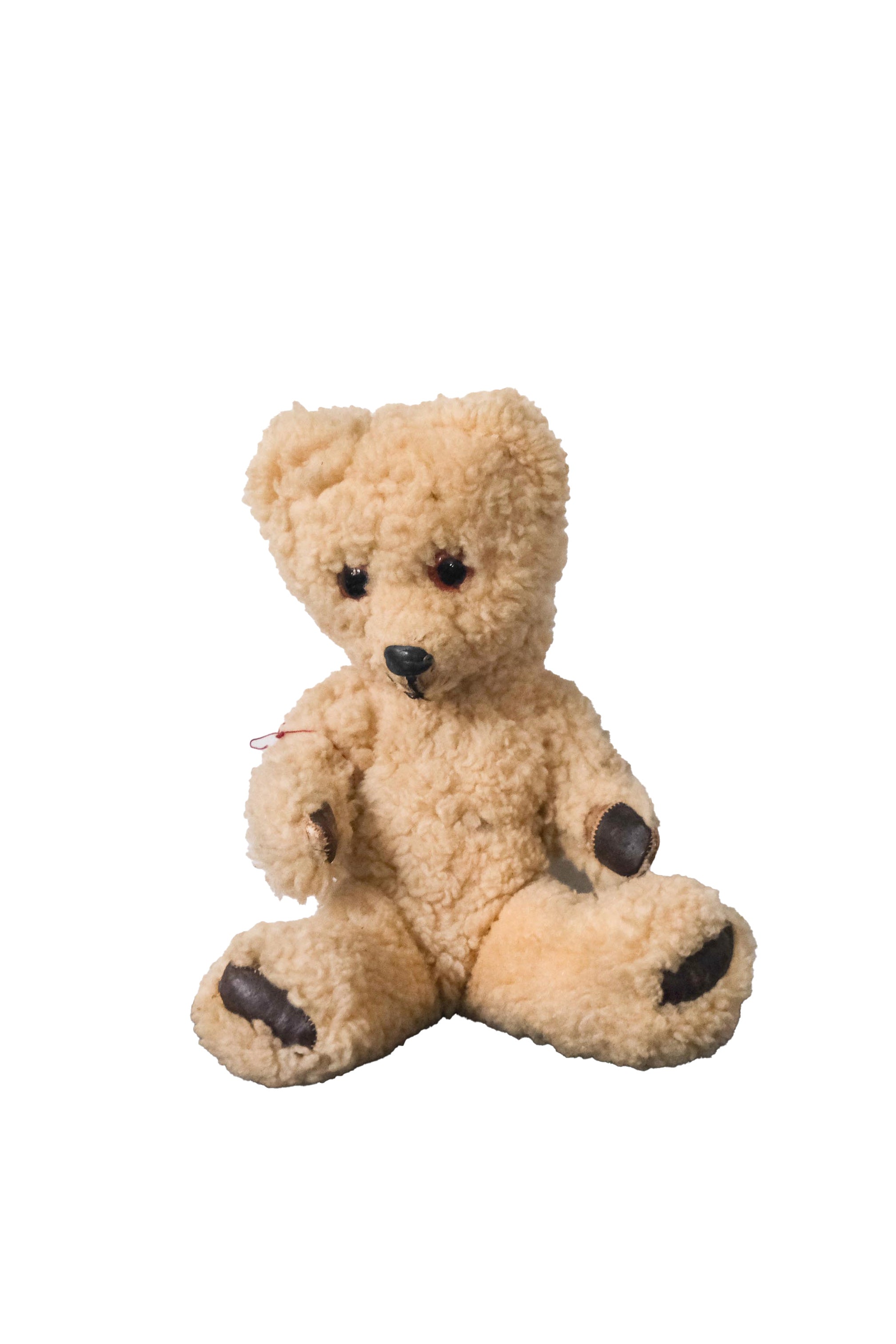Teddy Bear / テディベア