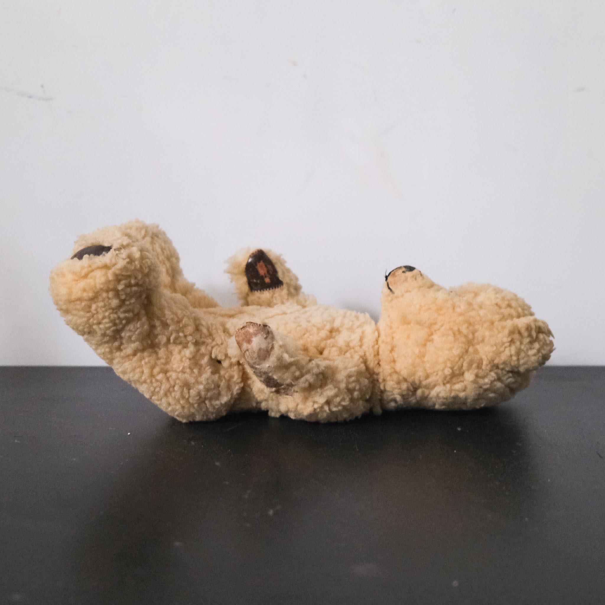 Teddy Bear / テディベア