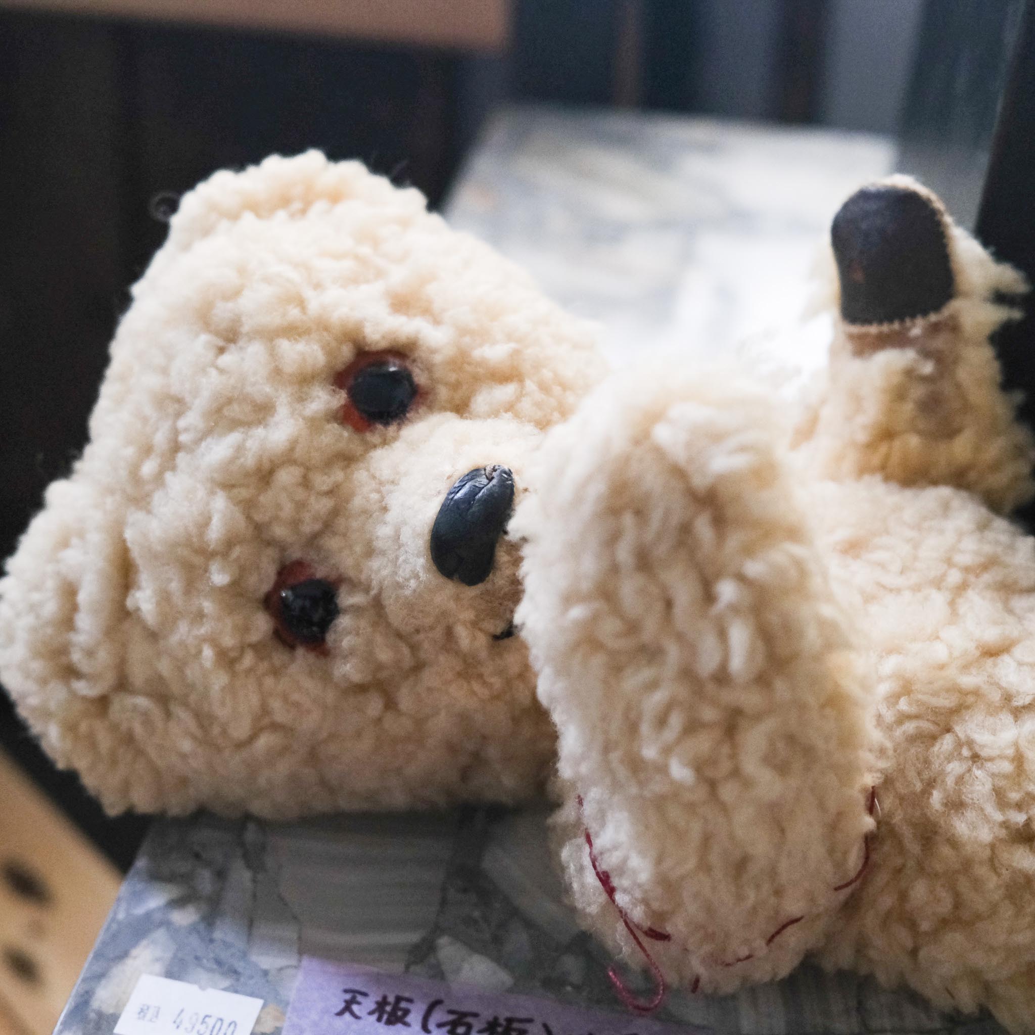 Teddy Bear / テディベア