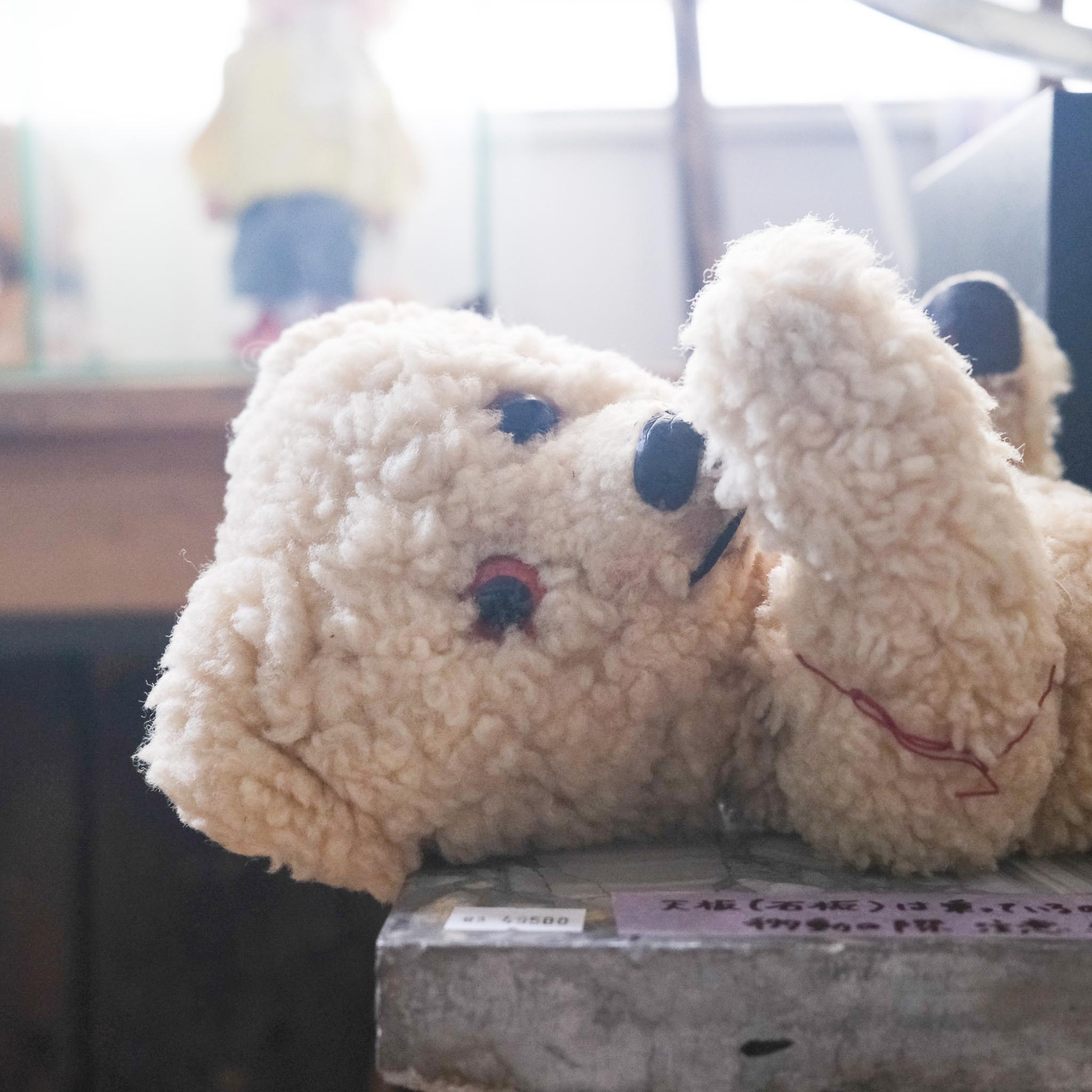 Teddy Bear / テディベア