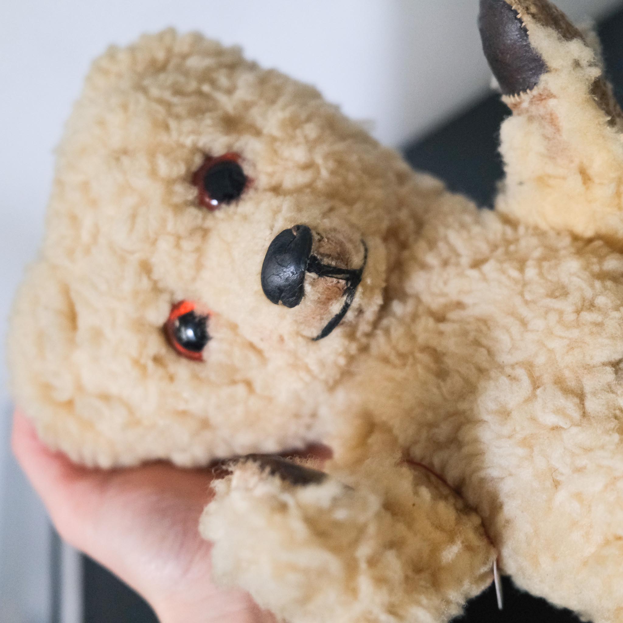 Teddy Bear / テディベア