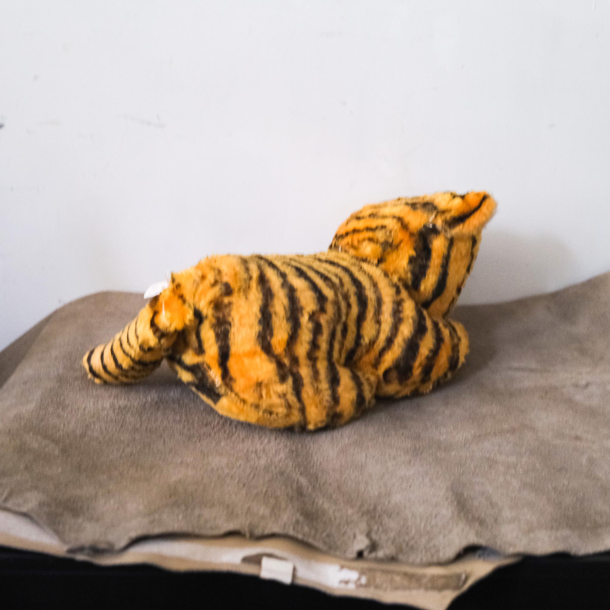 Stuffed Tiger / 虎のぬいぐるみ