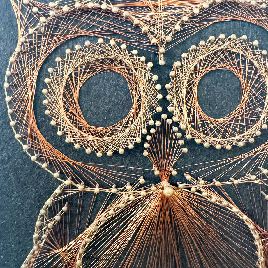 Owl String Art / ストリングスアートのフクロウ