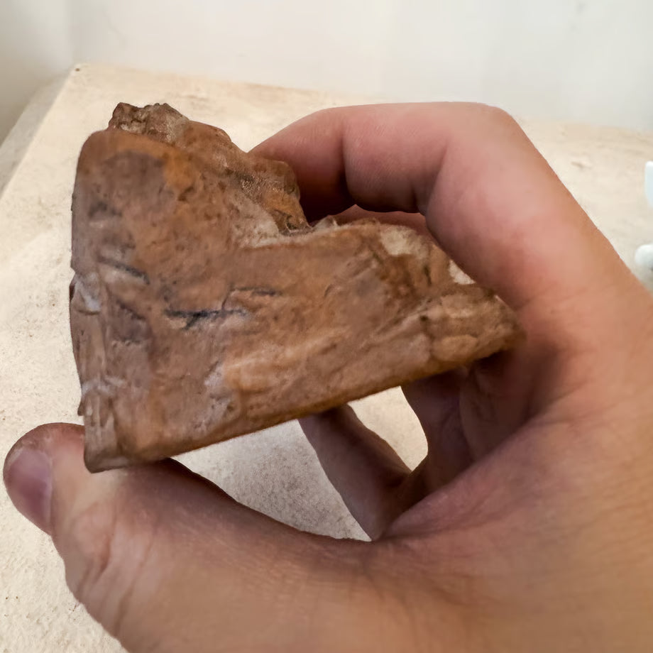 Lion Monument / 瀕死のライオン