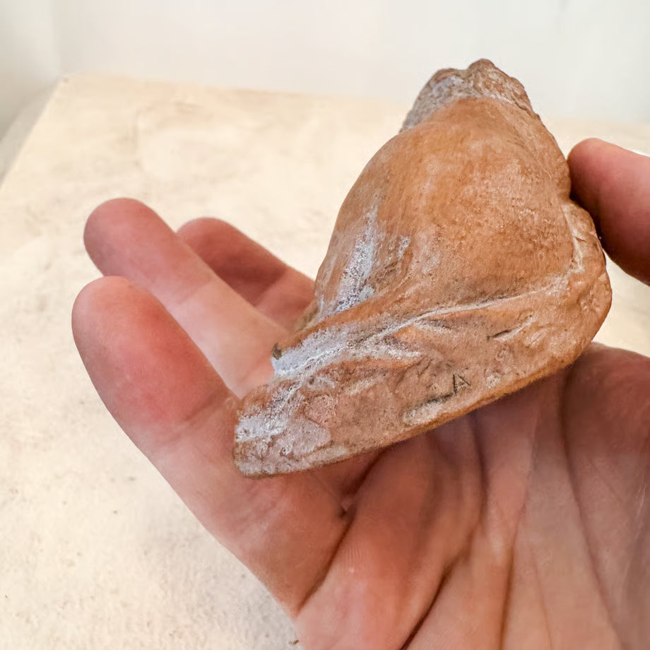 Lion Monument / 瀕死のライオン